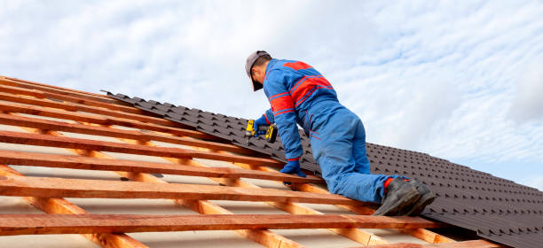 Best Solar Panel Roofing Installation  in Ironwood, MI